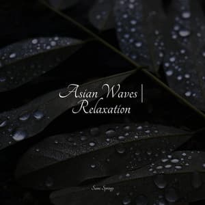 Asian Waves | Relaxation - Pacific Rim Nature Sounds