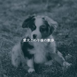 愛犬との午後の散歩 - Relaxing Jazz