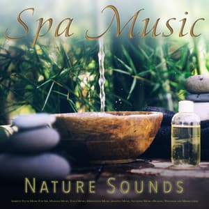 Spa Music: Bird Sounds, Forest Sounds, Nature Sounds and Ambient Flute Music For Spa, Massage Music, Yoga Music, Meditation Music, Sleeping Music, Studying Music, Healing, Wellness and Mindfulness - Spa