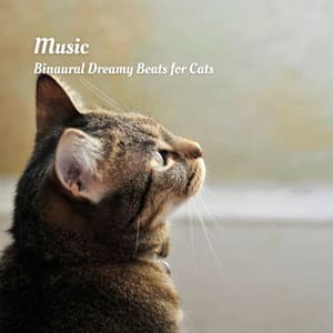 Music: Binaural Dreamy Beats for Cats - Sleepy Cats