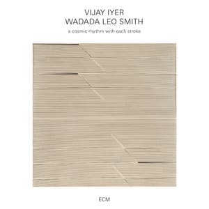A Cosmic Rhythm With Each Stroke - Vijay Iyer
