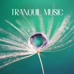 Tranquil Music: Spa, Healing Touch, Meditation - Heal Yourself - Healing Touch Universe