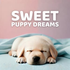 Sweet Puppy Dreams - Beautiful Deep Sleep Music Universe