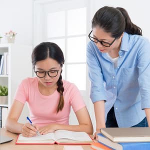 Lofi Study Serenity: Melodic Soundscapes for Learning - Honeymoonkilla