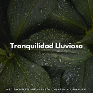 Tranquilidad Lluviosa: Meditación De Ondas Theta Con Armonía Binaural - Aumento del sexo y la intimidad - Meditación Binaural Beat