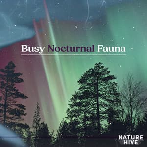 Busy Nocturnal Fauna - Nature Hive