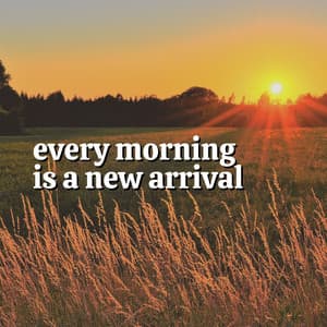 Every Morning Is a New Arrival - Sound Sleeping