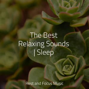 The Best Relaxing Sounds | Sleep - Academia de Música con Sonidos de la Naturaleza