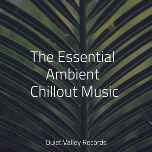 The Essential Ambient Chillout Music - Tailormade Ocean Waves