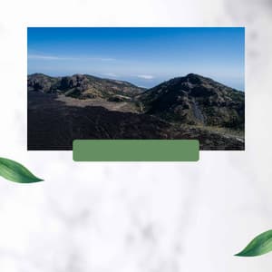 Understated - Mindfulness - Massage Spa Playlist