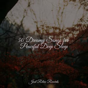 50 Dreamy Songs for Peaceful Deep Sleep - Ambient