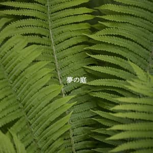 夢の庭 - Instrumental Chill Jazz