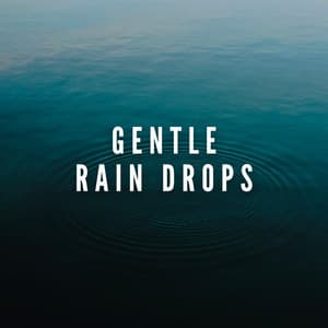 Gentle Rain Drops - Heavy Rain Sounds