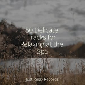 50 Delicate Tracks for Relaxing at the Spa - Powerthoughts Meditation Club