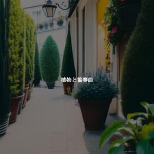植物と協奏曲 - Jazz Lento