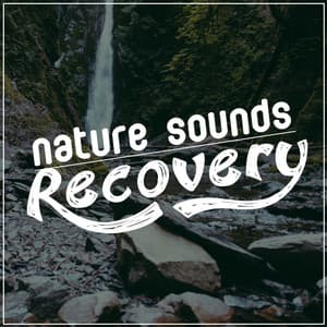 Nature Sounds: Recovery - The Healing Sounds of Nature