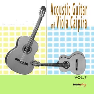 Acoustic Guitar & Viola Caipira, Vol. 7 - Paulinho Nogueira