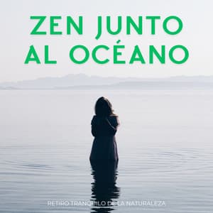 Zen Junto Al Océano: Retiro Tranquilo De La Naturaleza - Ruido y Naturaleza