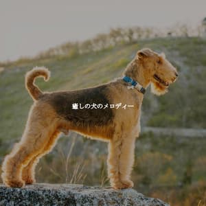 癒しの犬のメロディー - French Cafe Jazz Lounge