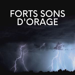 Forts Sons D'orage - Orage HD