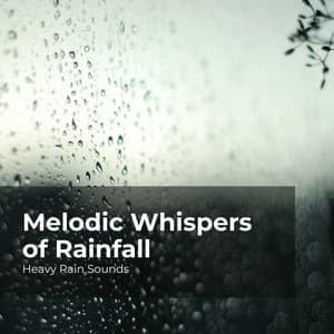 Melodic Whispers of Rainfall - Heavy Rain Sounds
