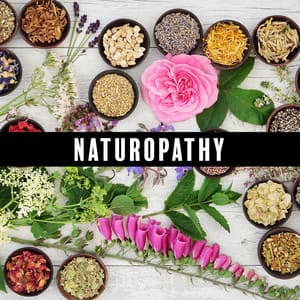 Naturopathy: Beautiful Piano Music with the Sound of Nature for Relaxation and Mindfulness, Sleep, Study - Bedtime Instrumental Piano Music Academy