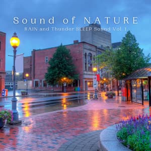 Sound of NATURE: RAIN and Thunder SLEEP Sound Vol. 1 - rainstantly