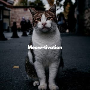 Meow-tivation - For Cats Only