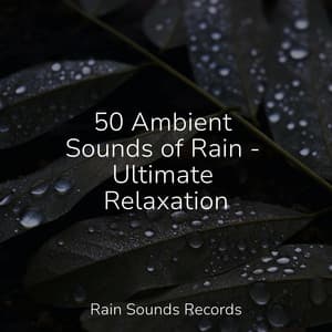50 Ambient Sounds of Rain - Ultimate Relaxation - Calming Sounds