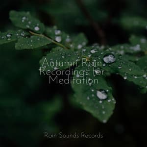 Autumn Rain Recordings for Meditation - MEDITATION SPA