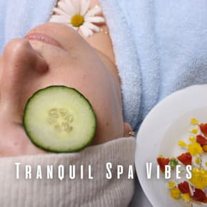 Tranquil Spa Vibes: Lofi Chill Music Delights - LOFI RADIO
