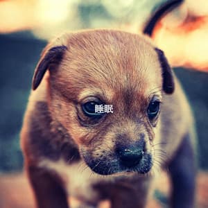 睡眠 - Musique pour Travailler