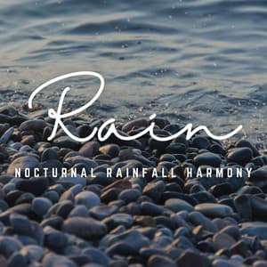 Nocturnal Rainfall Harmony: A Sleepscape Symphony - cloudy night