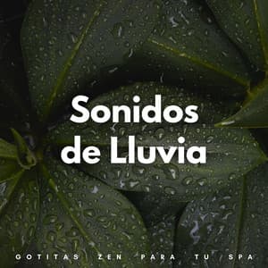 Sonidos De Lluvia: Gotitas Zen Para Tu Spa - Sonidos De Lluvia