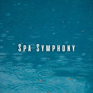 Spa Symphony: Rain and Crystal Singing Bowl Harmonies - Rain Face