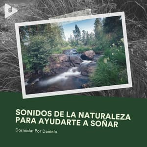 Sonidos de la Naturaleza para Ayudarte a Soñar - Dormida: Por Daniela