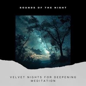 Velvet Nights for Deepening Meditation - Sounds of the Night