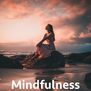 Mindfulness - Relaxing Mindfulness Meditation Relaxation Maestro