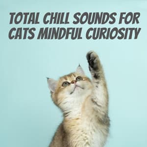 Total Chill Sounds for Cats Mindful Curiosity - Relaxation Guru