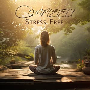 Completely Stress Free: Mind Soothing Journey, Total Relax, Stress Relief - Serenity Music Academy