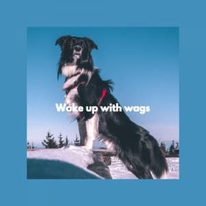 Wake up with wags - Music for Dog's Ears