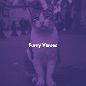 Furry Verses - Cat Relax