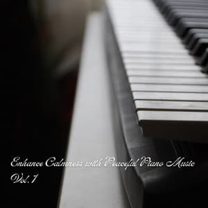 Enhance Calmness with Peaceful Piano Music Vol. 1 - Piano: Classical Relaxation