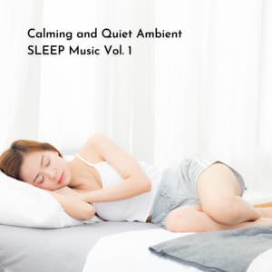 Calming and Quiet Ambient SLEEP Music Vol. 1 - The Sleep Phasers