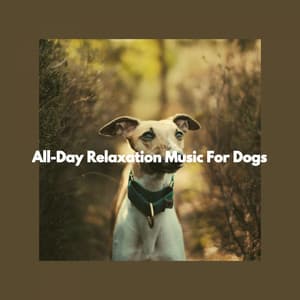 All-Day Relaxation Music For Dogs - Relaxing Dogs