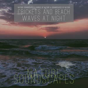 Crickets and Beach Waves at Night - Nature Soundscapes