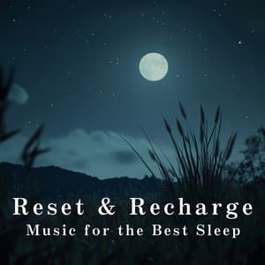 Reset & Recharge - Music for the Best Sleep - Relax α Wave