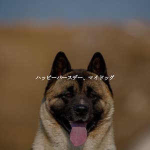 ハッピーバースデー、マイドッグ - Coffee Shop Playlist