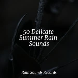 50 Delicate Summer Rain Sounds - Chillout Lounge
