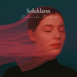 Solukların Arasında Kaldım - Doğanın Müziği